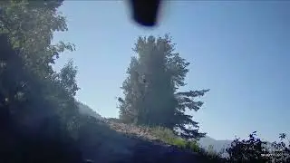 Dusky Grouse Shotkam - ID Aug2023