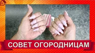 Advice for gardeners - How to keep your nails clean while working in the garden?