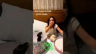 Best Gift for a Child ❤️ 🐶 #dog #cute #puppy #dogvideo #puppyvideos #heartwarming