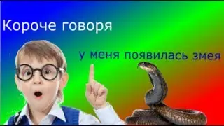 Короче говоря у меня появилась змея 😋