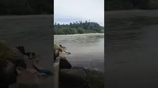 Mancing di sugai besar ikan nya ternyata waw