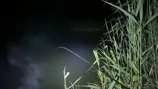 Ночная поклевка леща