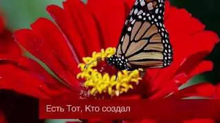 Есть Тот, Кто создал - Надир абу Халид