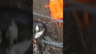 #волга