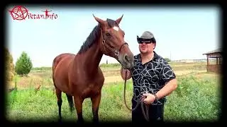 Из низких эгрегоров в высокие. Виктан.