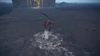 Leonine Misbegotten Boss Fight | Elden Ring