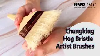 Hog Bristle Paint Brushes for Oil painting, wall painting, art creators