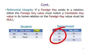 Understanding Relational Integrity: Entity, Domain, Referential, & Enterprise Integrity in Databases