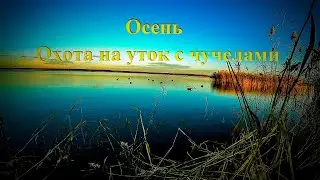 Осенняя охота на уток с чучелами видео //Autumn duck hunting with plastic ducks.