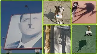Посмотрите на тень! Вам не показалось)))