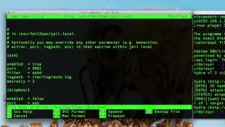 Raspberry Pi Tutorial 9 - Fail2Ban IP Blocker Setup