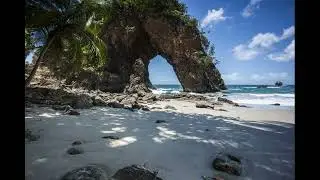 Survival Island