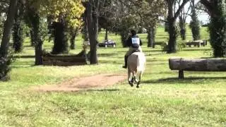 Kasey Mueller & James Blonde Hagyard Midsouth Team Challenge October 2014