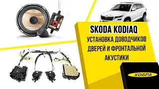 Skoda Kodiaq. Установка доводчиков дверей, замена штатной акустики.