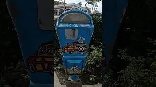 Laguna Beach Scenes