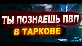 EFT 0.14 Тарковское пвп, ради которого стоит играть!