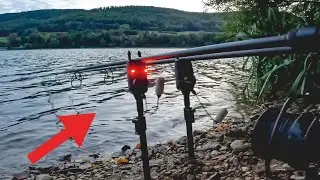 Was fängt besser? D-Rig VS. NoKnot-Rig 🤯