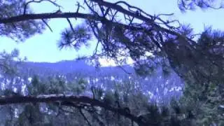 Palm Springs Aerial Tramway