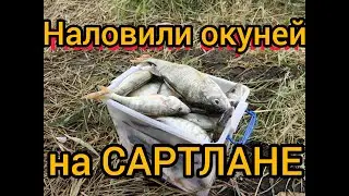 Дикая рыбалка на Сартлане