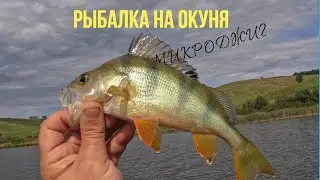 ЖДУ ЛЕТА И ВСПОМИНАЮ ПРОШЕДШЕЕ. МИКРОДЖИГ - РЫБАЛКА НА ОКУНЯ. /  MICROJIG - PERCH FISHING