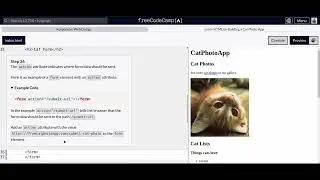 Responsive Web Design   Cat Photo App   34,35,36