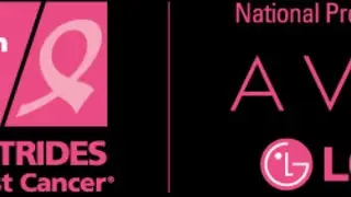 Making Strides Long Island - Virtual Mosaic