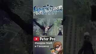 Фандом Nier не как в Геншин Импакт 
