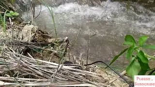 Water sound effect/water soud for focus/water sound for sleep/no copyright