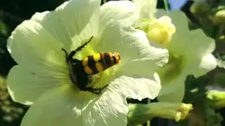 Ейск ! Планируете отпуск , интересуетесь ценами , сегодня рынок !