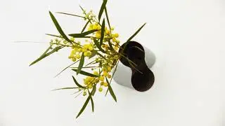 Georg Jensen at Home: Lituus Collection - New editions