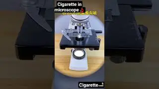 cigarette in microscope🔬..! 