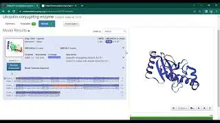 Protein modelling using SWISS model in Urdu