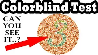 Are You Colorblind? Can You See IT? Test Your Vision by Ishihara Test