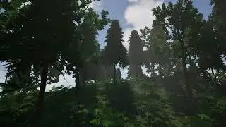 Biome Foliage Variety Showcase || FAB Marketplace