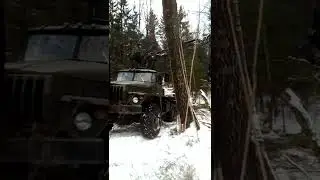 Трактор в болоте