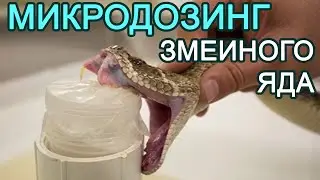 Змеиный яд, анафилактический шок и микродозинг.