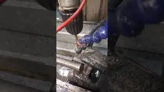 вновь заломыш.