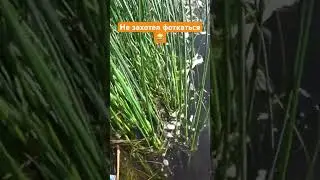 Не фотогеничный попался😂 