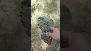 #shorts