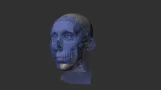 Виртуальная пластика лица