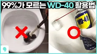 (Awesome WD40 Life Hacks) Home Tricks for cleaning the toilet with wd 40