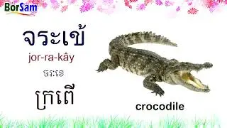 រៀនភាសាថៃ៖ ពាក្យទាក់ទងនឹងសត្វ - Learn Thai Vocabulary: Animals