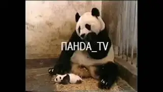 Михаил Пореченков!!! Разоблачение Битвы экстрасенсов!!! НОВИНКА!!!