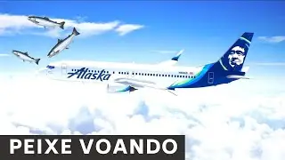 O peixe que atingiu um B737 em pleno voo 