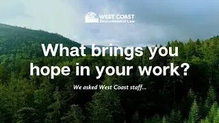 What brings us hope in 2023 | West Coast Environmental Law