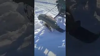 Восход с Коляской от Ижа 👌 