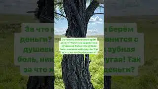 Душевная боль ￼