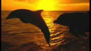 KAOSS-CATHY.M. AMARTE ES POCO -