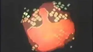 My Kaleidoscope Video