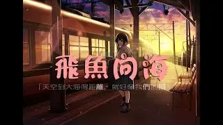 七音盒 - 飛魚向海「天空到大海得距離，就好像我們的關系」【動態歌詞】【fei yu xiang hai 】